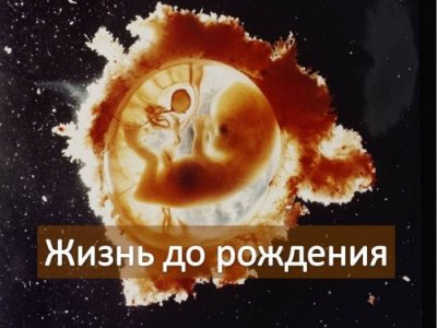 ����� ���������� ������������ �����?