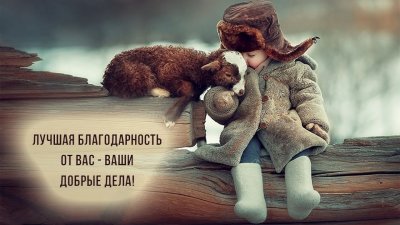 ����� �������� ������