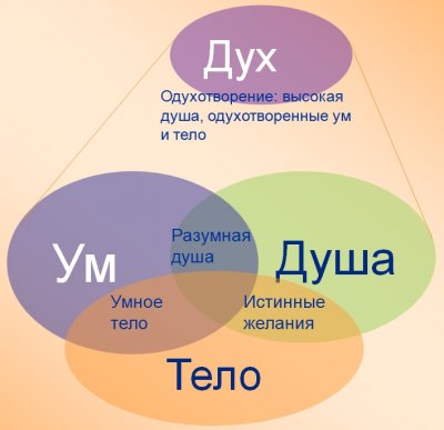 ��� ���� ������ ����������� ������������ ����