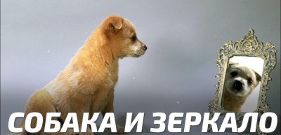 ���������� �������. ������ � ����� � ������